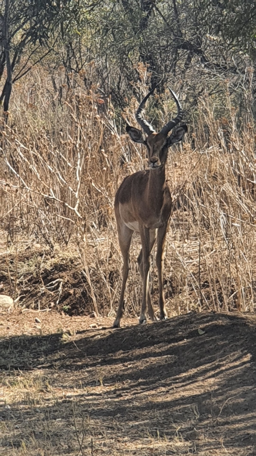 Commercial Property for Sale in La Camargue Private Country Estate North West